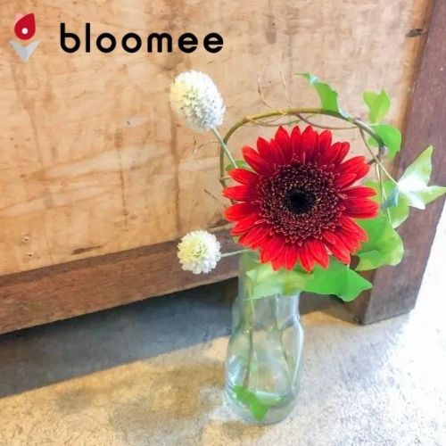bloomee体験プランで届く花