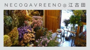 練馬の花屋さん9選 おしゃれなお店だけを厳選 22年最新 練馬の花屋さん9選 おしゃれなお店だけを厳選 22年最新