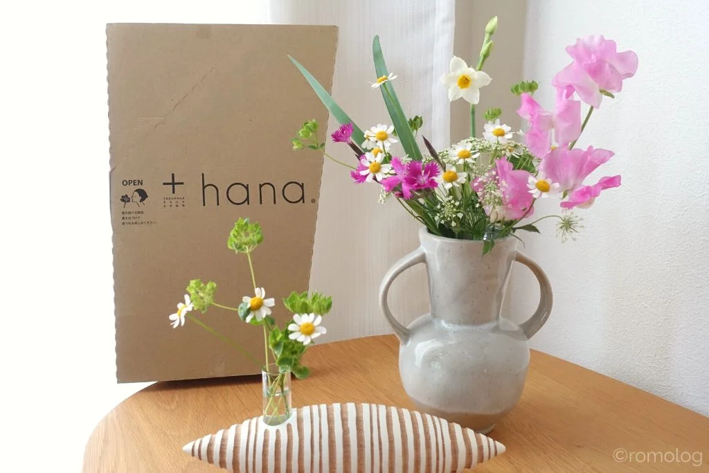 タスハナact for flowersプランの花