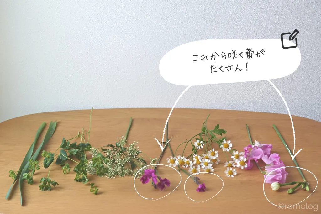 タスハナで届いた花の種類