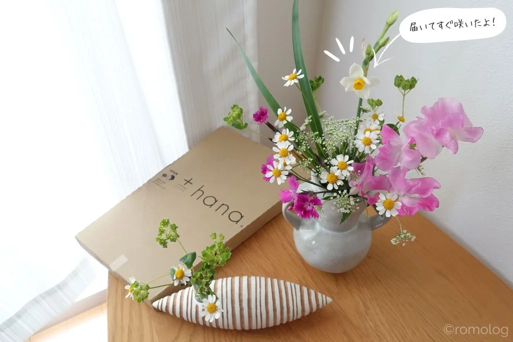 タスハナで届いた花を飾った様子