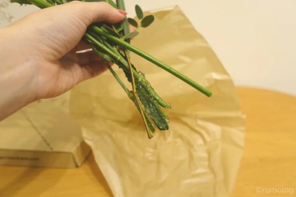 タスハナの花の鮮度